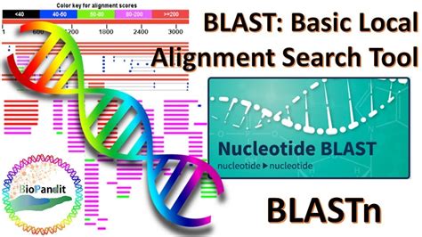 ncbi nucleotide blast|Basic Local Alignment Search Tool .